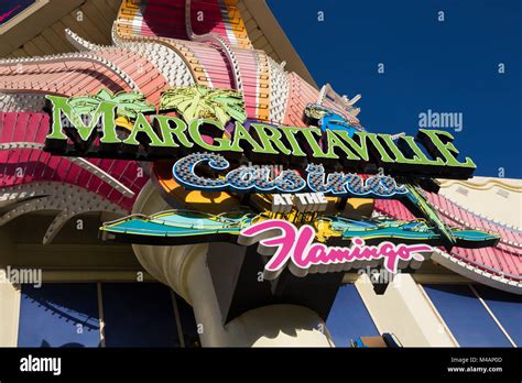 margaritaville las vegas flamingo.